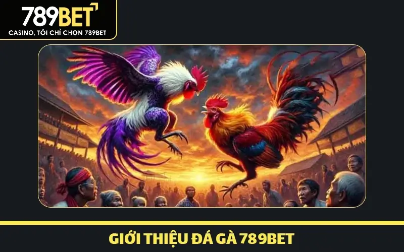 Giới thiệu tổng quan về trò chơi đá gà 789bet